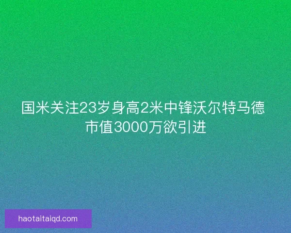 国米关注23岁身高2米中锋沃尔特马德 市值3000万欲引进